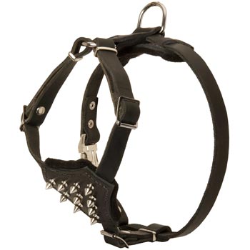Belgian Malinois Leather Puppy Harness with Attractive Nickel Decoration
