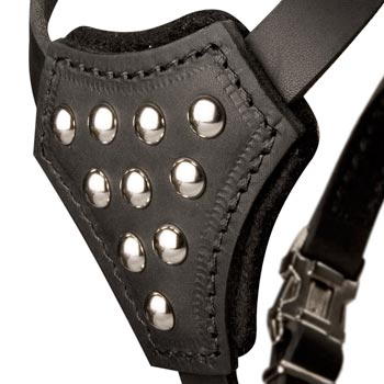 Belgian Malinois Harness Leather with Studded  Breast Plate