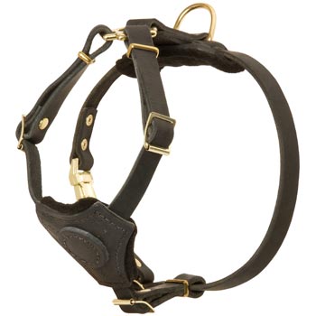 Light Weight Leather Puppy Harness for Belgian Malinois