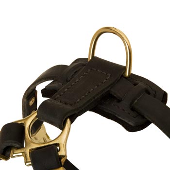 D-ring on Leather Belgian Malinois Harness for Puppy Training