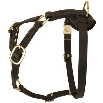 Tracking Leather Dog Harness for Belgian Malinois