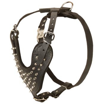 Spiked Leather Harness for Belgian Malinois Walking