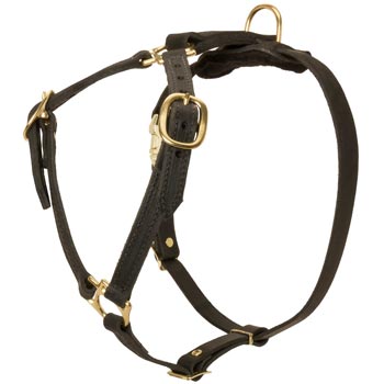 Leather Belgian Malinois Harness Lightweight Y-Shaped for Tracking Dog