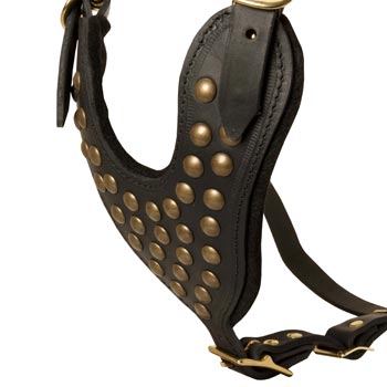 Studded Black Leather CHest Plate for Belgian Malinois Comfort