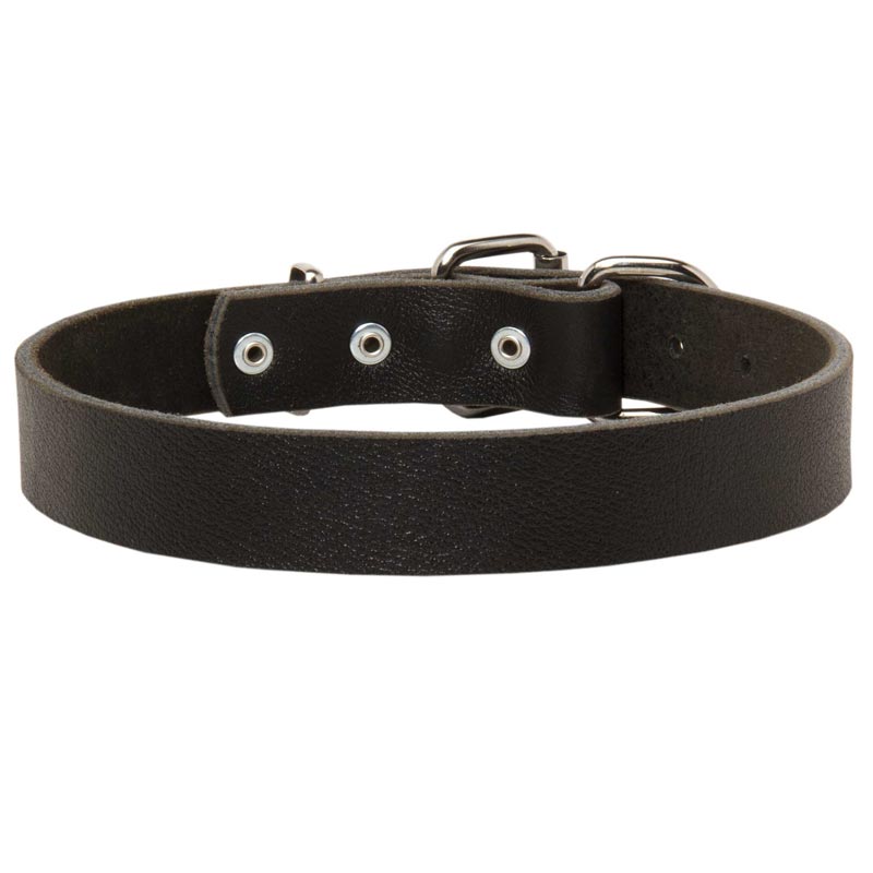 Belgian Malinois Leather Dog Collar For Pleasant Wearing