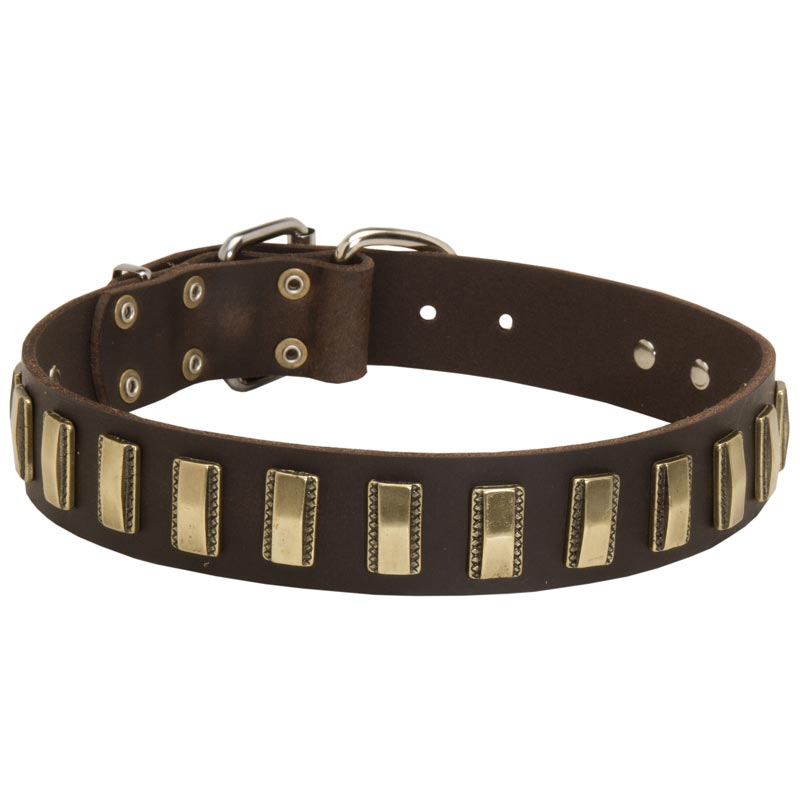 Leather Belgian Malinois Collar with Awesome Brass Plates