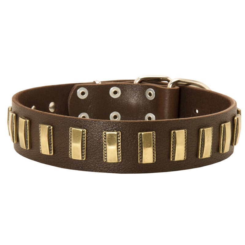 Belgian Malinois Leather Collar with Shiny Plates