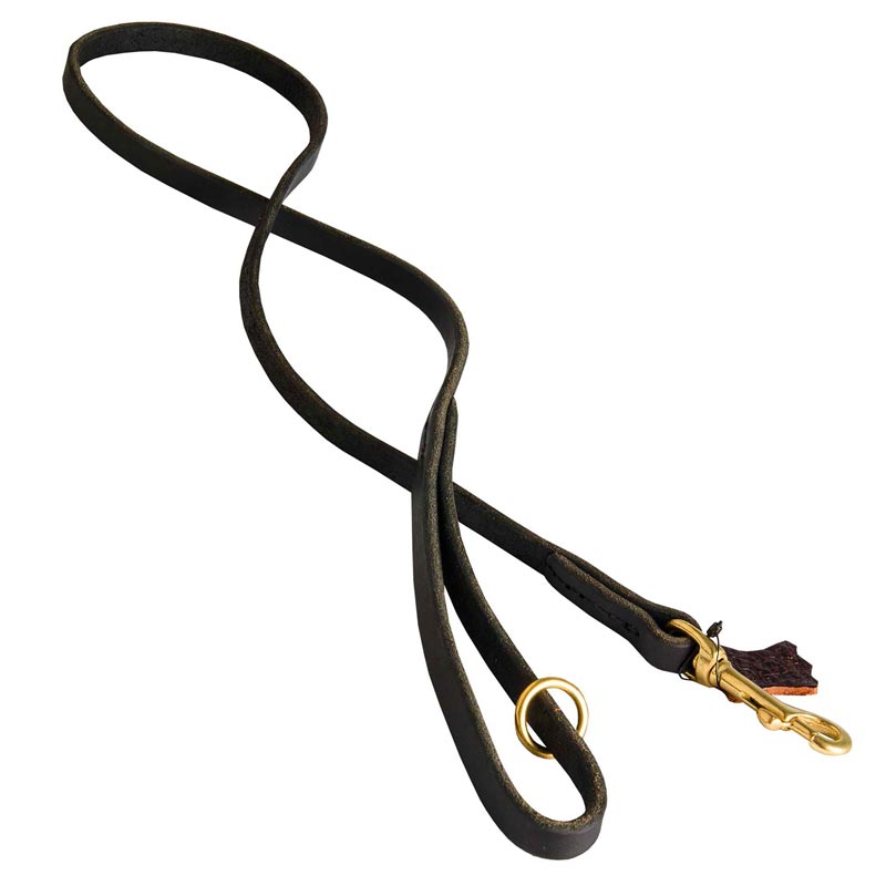 Handcrafted Leather Belgian Malinois Leash for Walking and Tracking