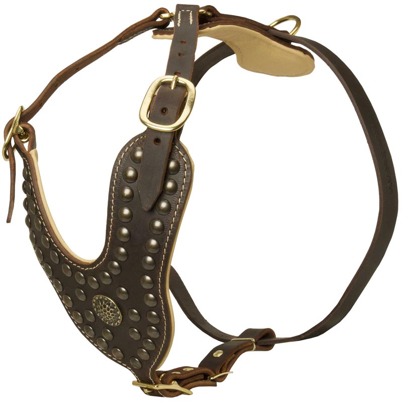 Royal Design Leather Belgian Malinois Harness with Brass Studs - Click Image to Close
