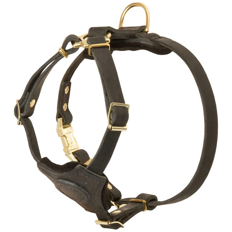 Spruce Leather Belgian Malinois Harness With Small Chest Plate - Click Image to Close