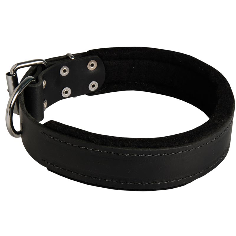 Durable Padded Leather Belgian Malinois Collar