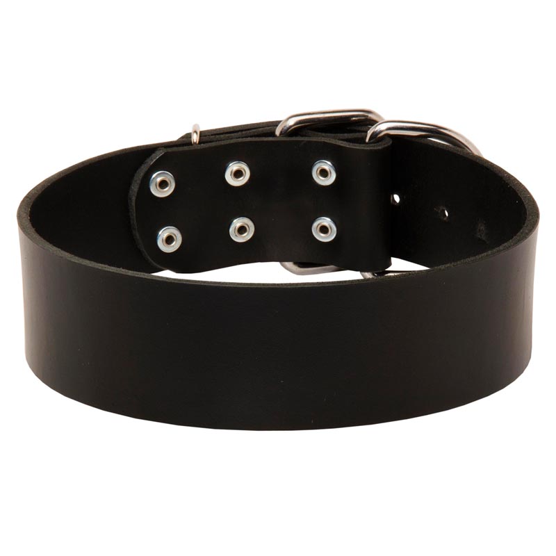 Extra Wide Leather Belgian Malinois Collar for Professional Training