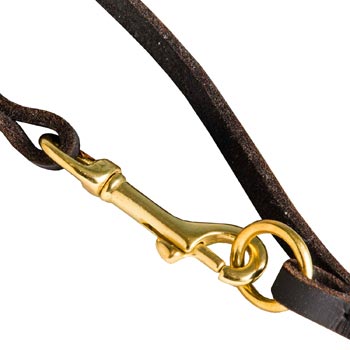 Leather Belgian Malinois Leash with Brass Hardware for Dog Control