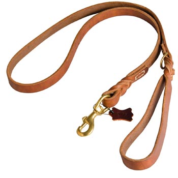Canine Leather Leash for Belgian Malinois