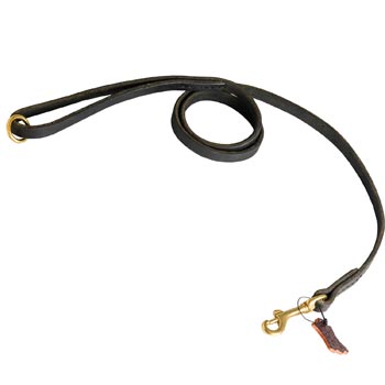 Strong Leather Belgian Malinois Leash for Popular Dog Activities