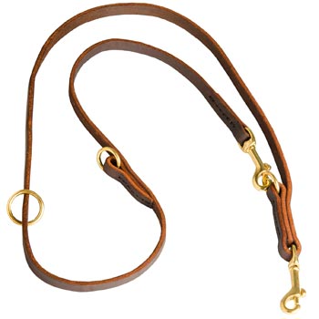 Multipurpose Leather Belgian Malinois Leash