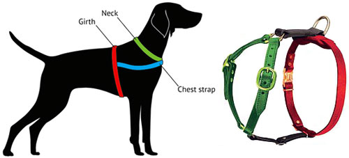 measure-harness